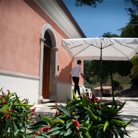 Villa Tecla Capri Leone Exterior foto
